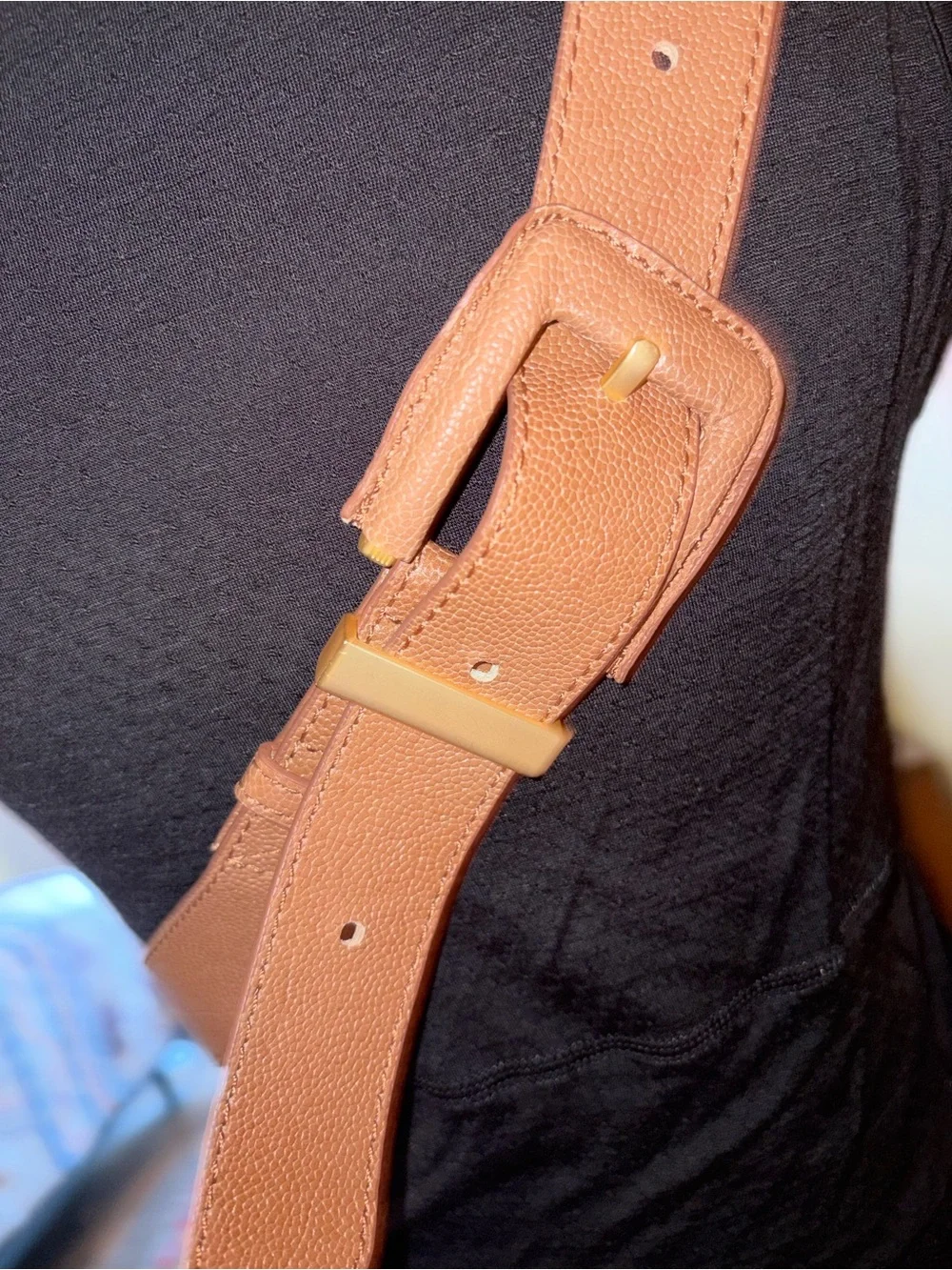 Hammitt Neil Pine Cone Crossbody belt bag NWT
